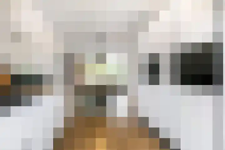 Lavendelstraat 8 Beuningen Gld thumbnail 8