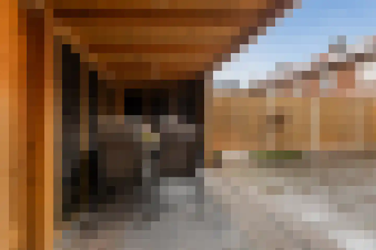Lavendelstraat 8 Wezep thumbnail 31