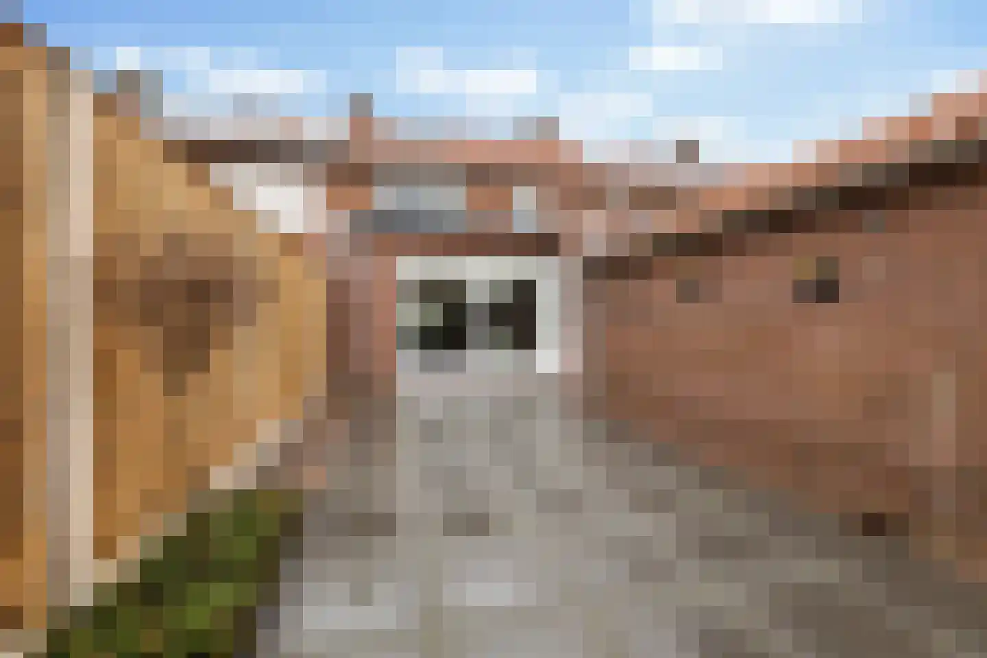 Lavendelstraat 8 Wezep thumbnail 32