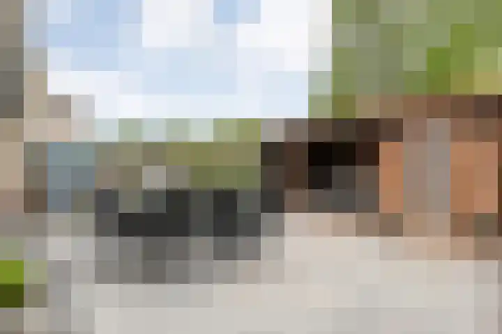 Lavendelstraat 9 Almelo thumbnail 4
