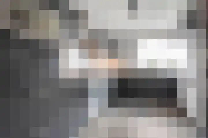 Lavendelstraat 9 Almelo thumbnail 9