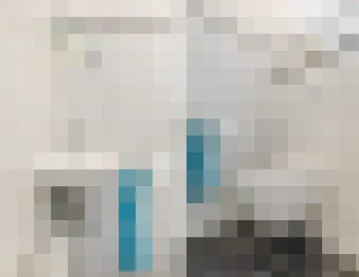 Lavendelstraat 9 Echt thumbnail 11