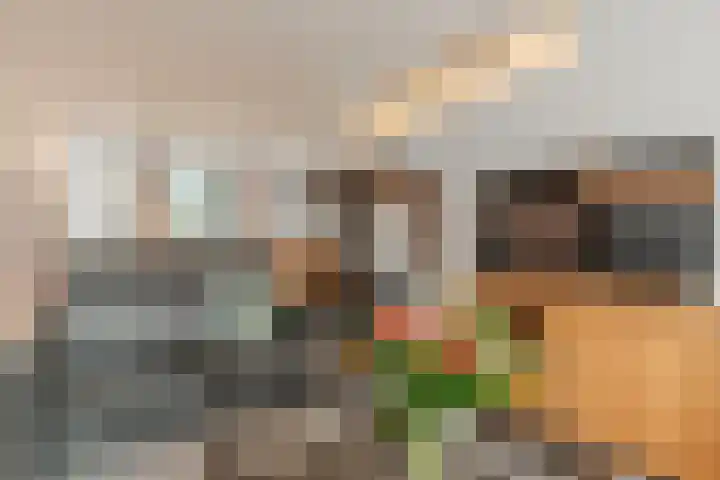 Lavendelstraat 9 Echt thumbnail 13