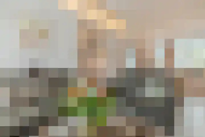 Lavendelstraat 9 Echt thumbnail 14