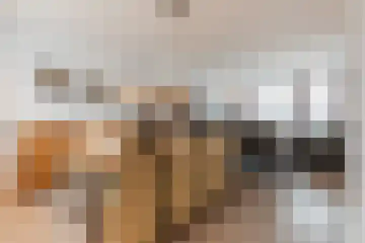 Lavendelstraat 9 Echt thumbnail 18