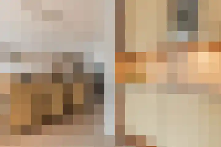 Lavendelstraat 9 Echt thumbnail 22