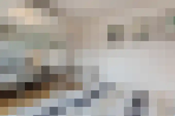 Lavendelstraat 9 Echt thumbnail 24