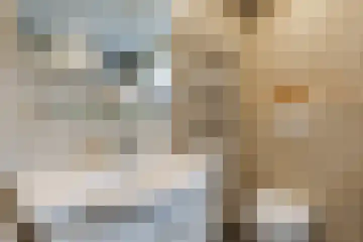 Lavendelstraat 9 Echt thumbnail 30