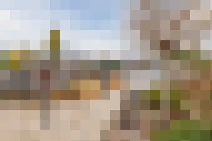 Lavendelstraat 9 Echt thumbnail 45