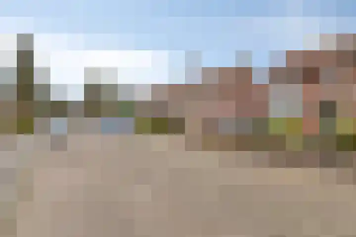 Lavendelstraat 9 Nuenen thumbnail 20