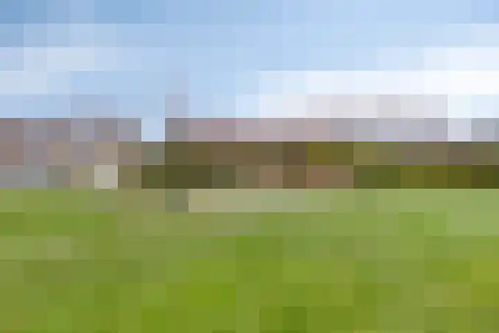 Lavendelstraat 9 Nuenen thumbnail 21