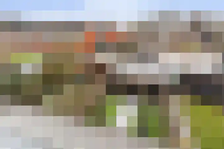 Lavendelstraat 93 Apeldoorn thumbnail 41