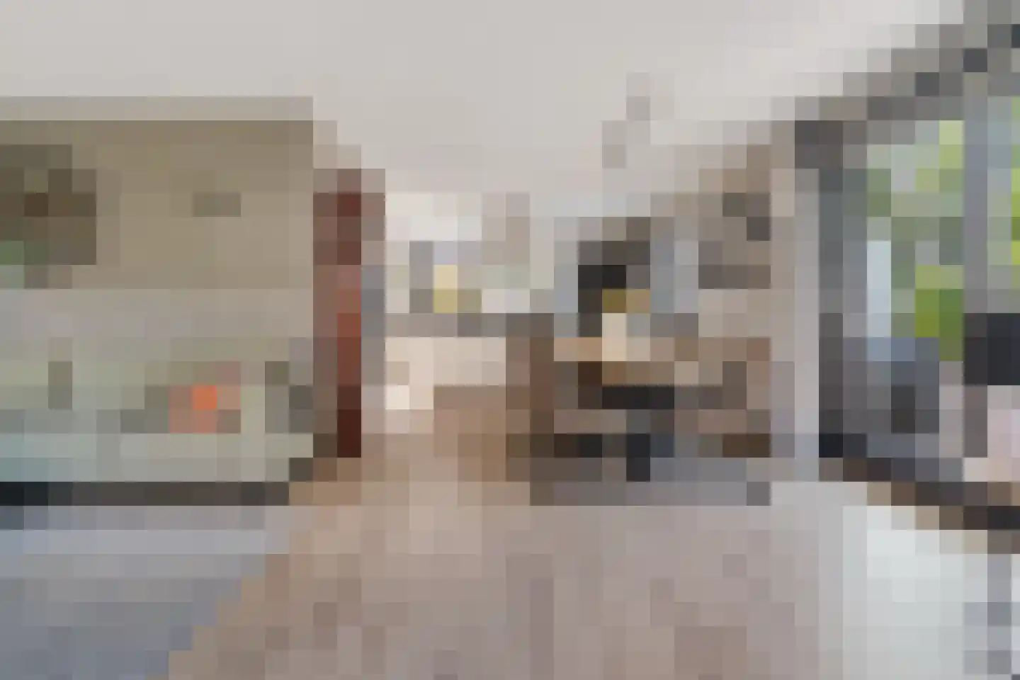 Lavendelstrook 4 Swifterbant thumbnail 18