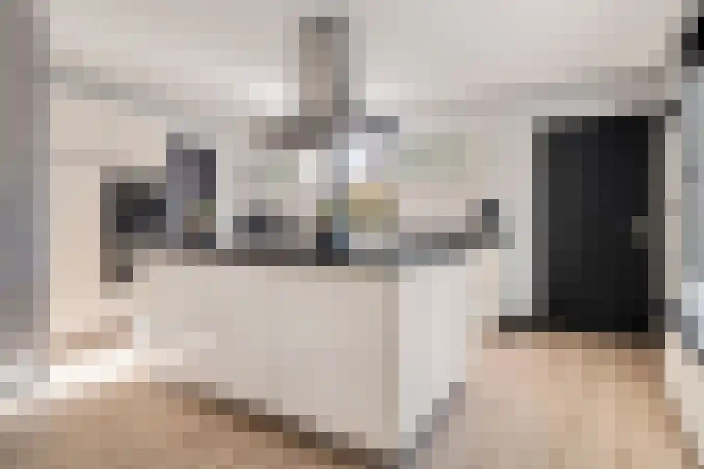 Lavendelstrook 4 Swifterbant thumbnail 20
