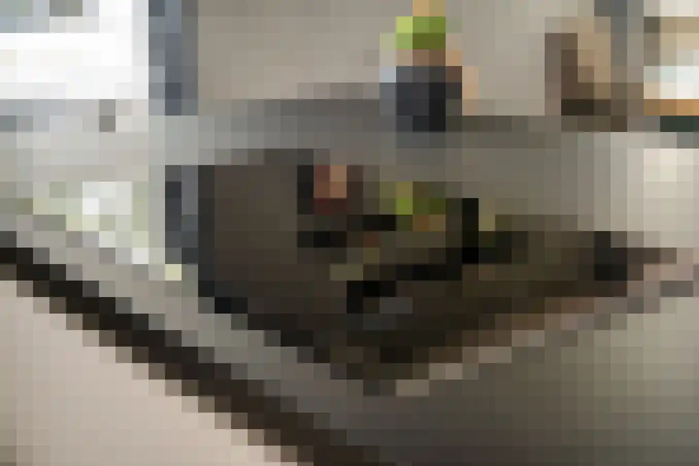 Lavendelstrook 4 Swifterbant thumbnail 21