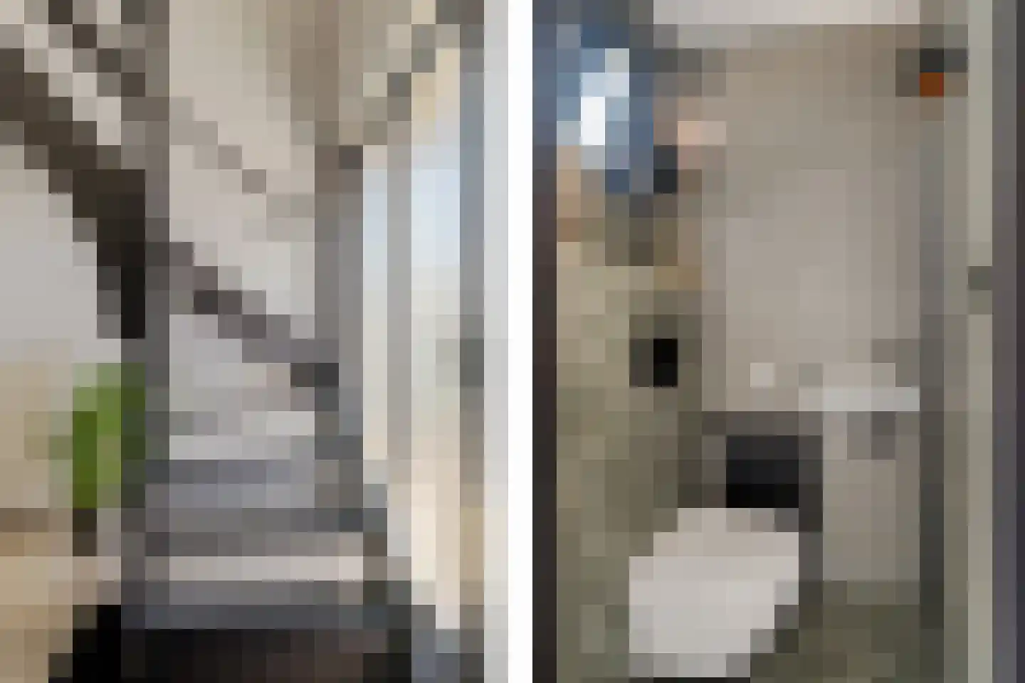 Lavendelstrook 4 Swifterbant thumbnail 26