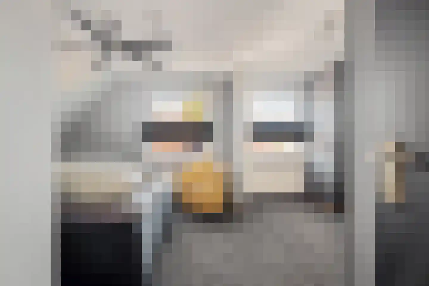 Lavendelstrook 4 Swifterbant thumbnail 28