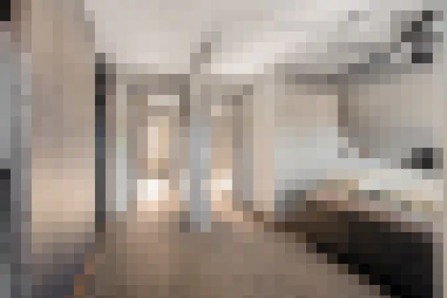 Lavendelstrook 4 Swifterbant thumbnail 32