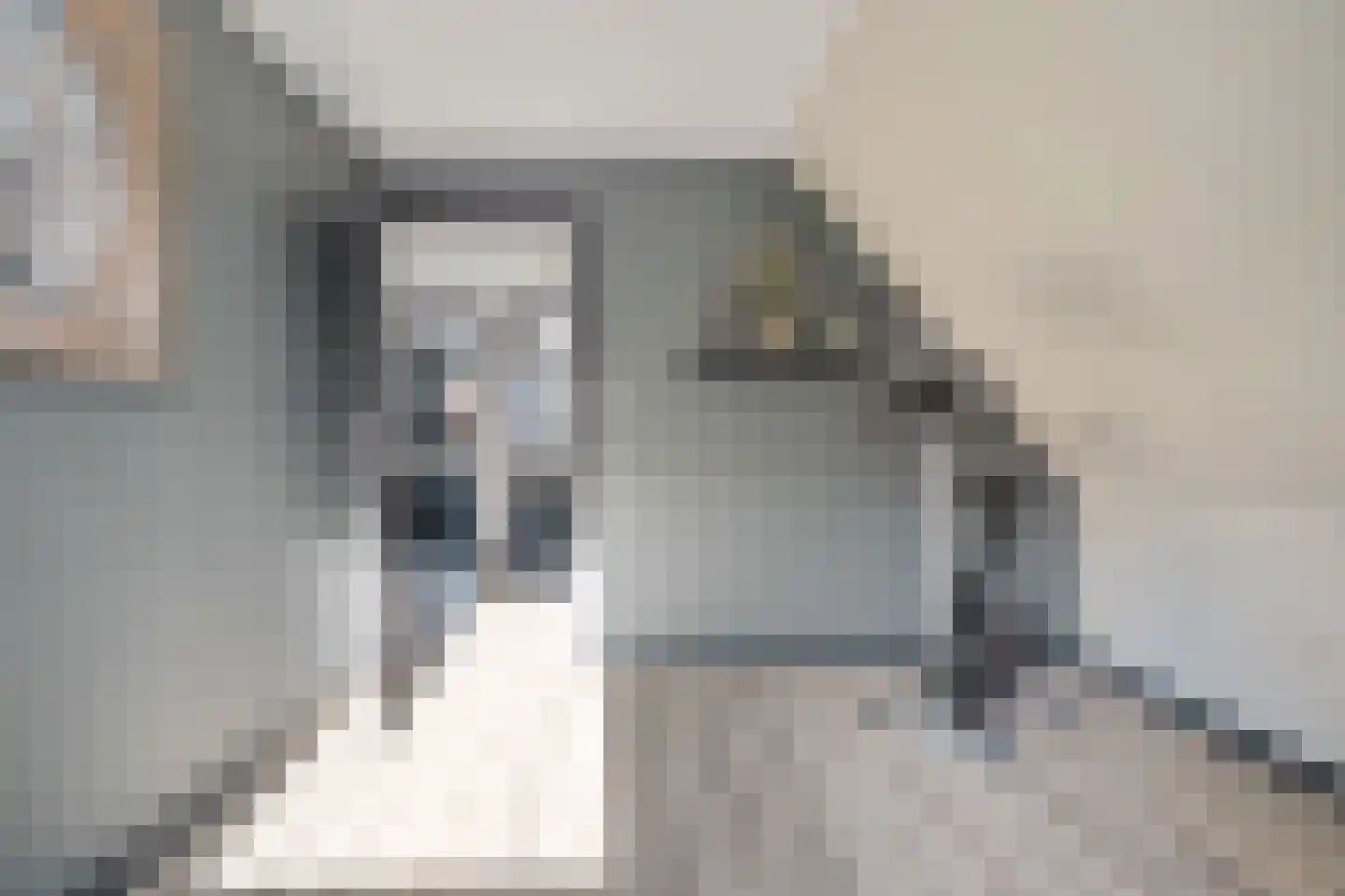 Lavendelstrook 4 Swifterbant thumbnail 37