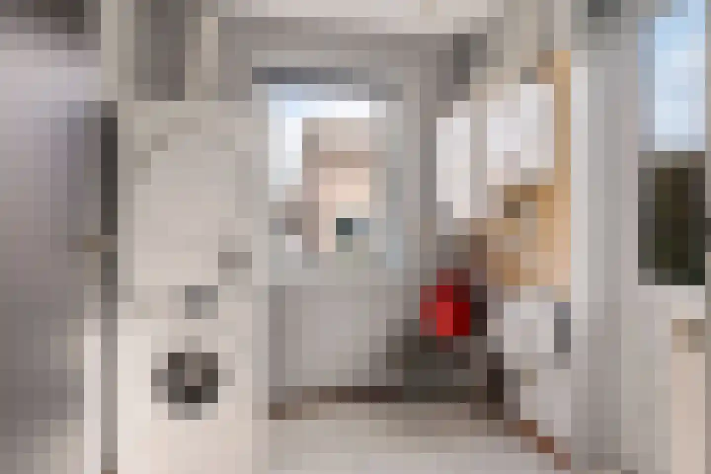 Lavendelstrook 4 Swifterbant thumbnail 43