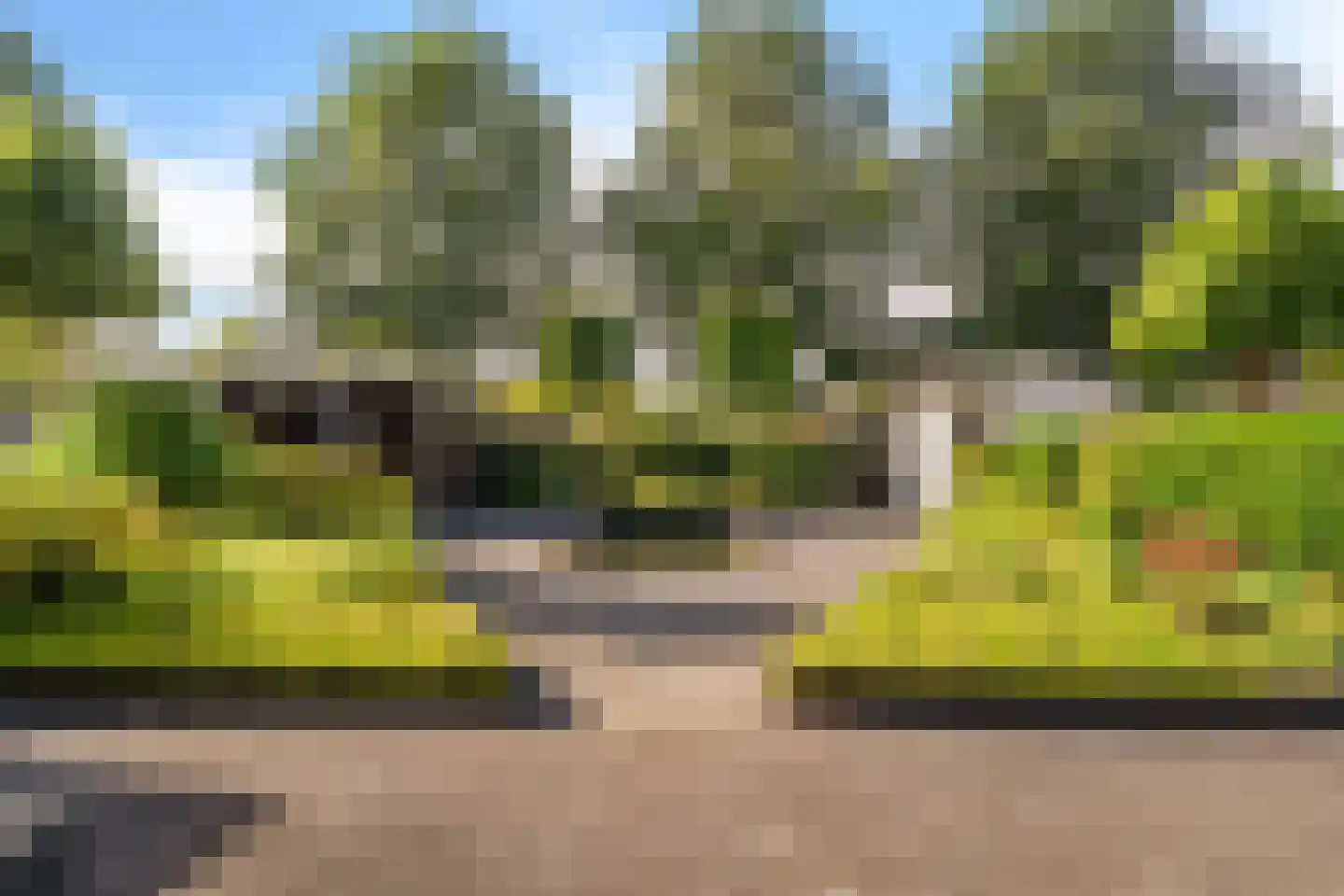 Lavendelstrook 4 Swifterbant thumbnail 45