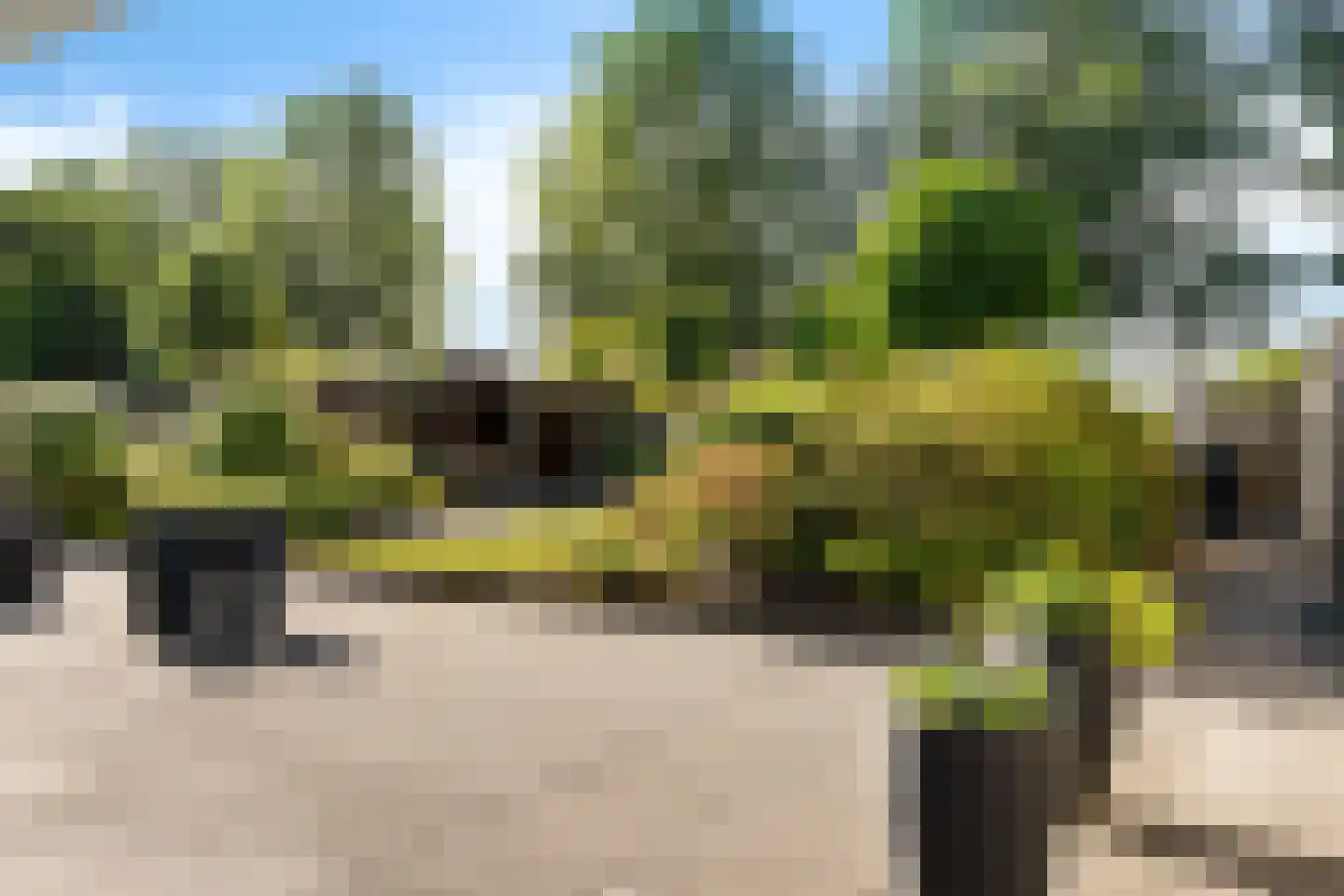 Lavendelstrook 4 Swifterbant thumbnail 47