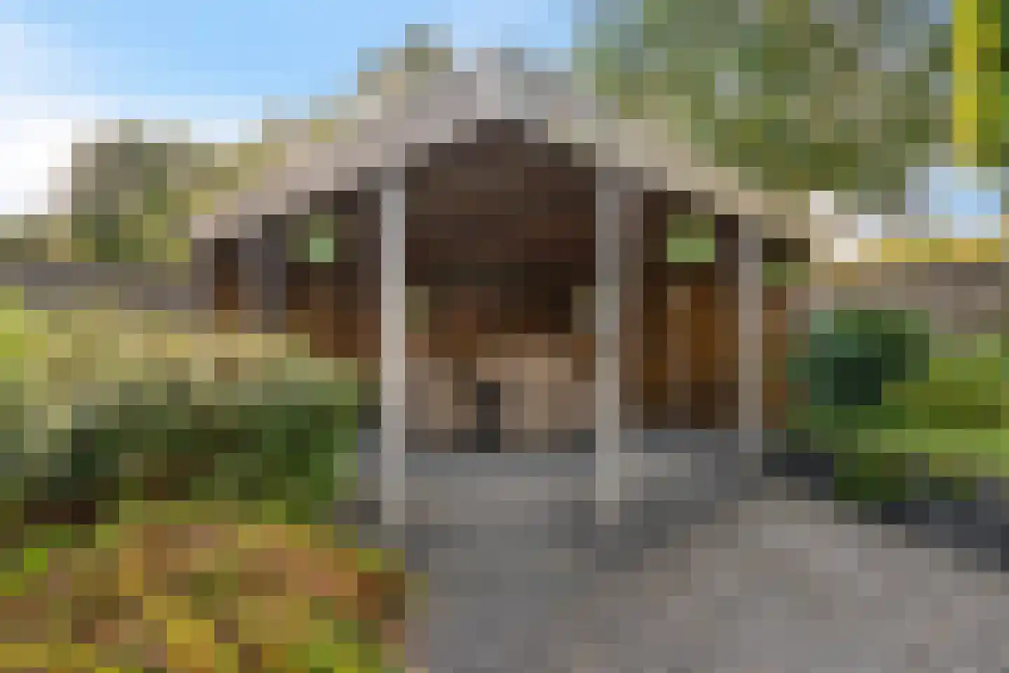 Lavendelstrook 4 Swifterbant thumbnail 48
