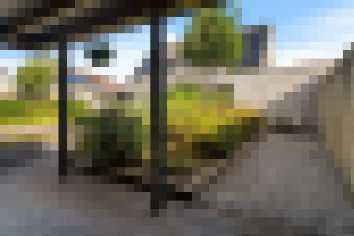 Lavendelstrook 4 Swifterbant thumbnail 49