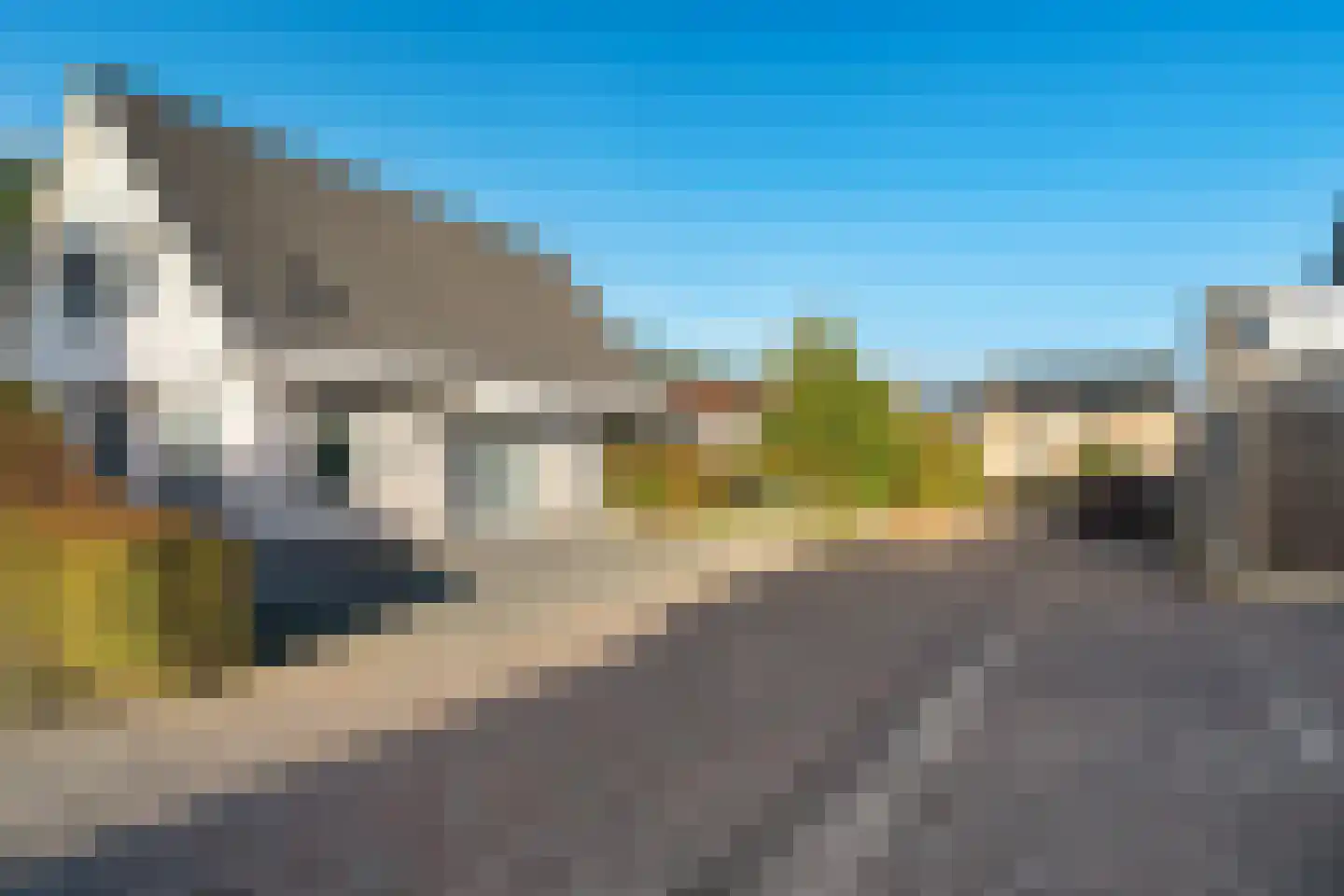 Lavendelstrook 4 Swifterbant thumbnail 59