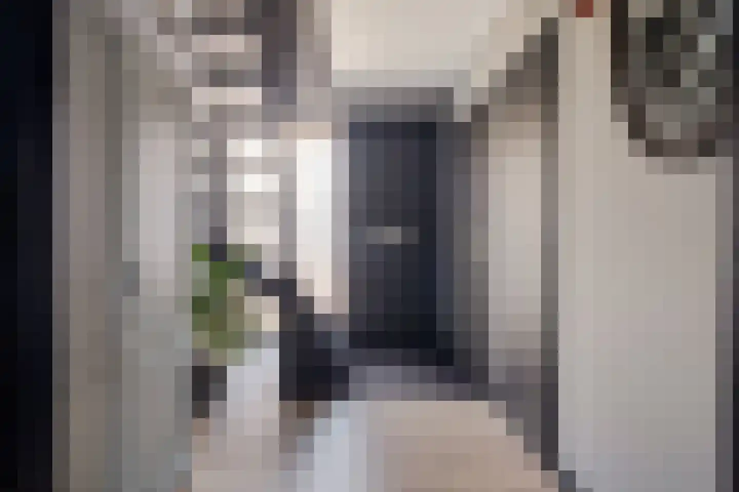 Lavendelstrook 4 Swifterbant thumbnail 7