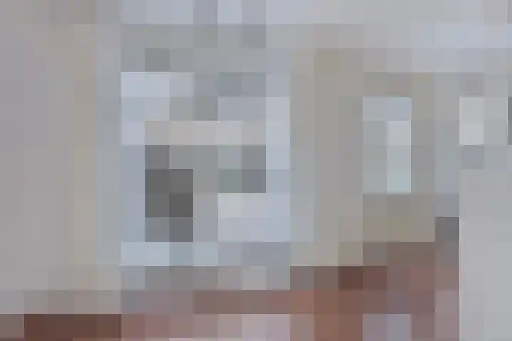 Lavendelstrook 9 Swifterbant thumbnail 13
