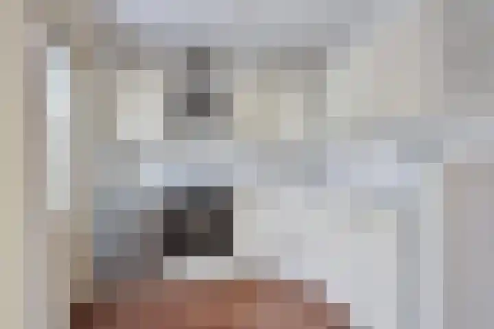 Lavendelstrook 9 Swifterbant thumbnail 14