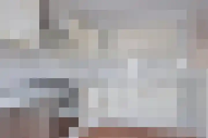 Lavendelstrook 9 Swifterbant thumbnail 15