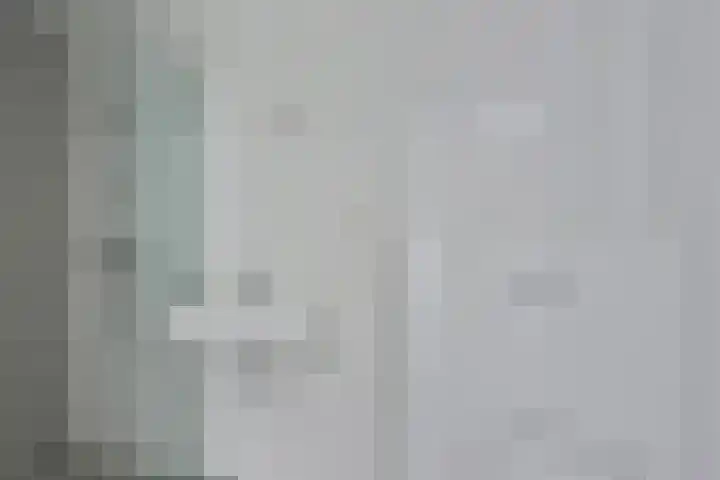 Lavendelstrook 9 Swifterbant thumbnail 18