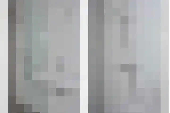 Lavendelstrook 9 Swifterbant thumbnail 19