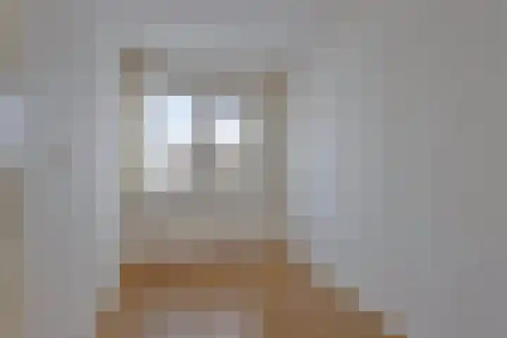 Lavendelstrook 9 Swifterbant thumbnail 24
