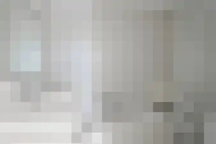 Lavendelstrook 9 Swifterbant thumbnail 25