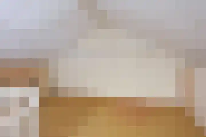 Lavendelstrook 9 Swifterbant thumbnail 27