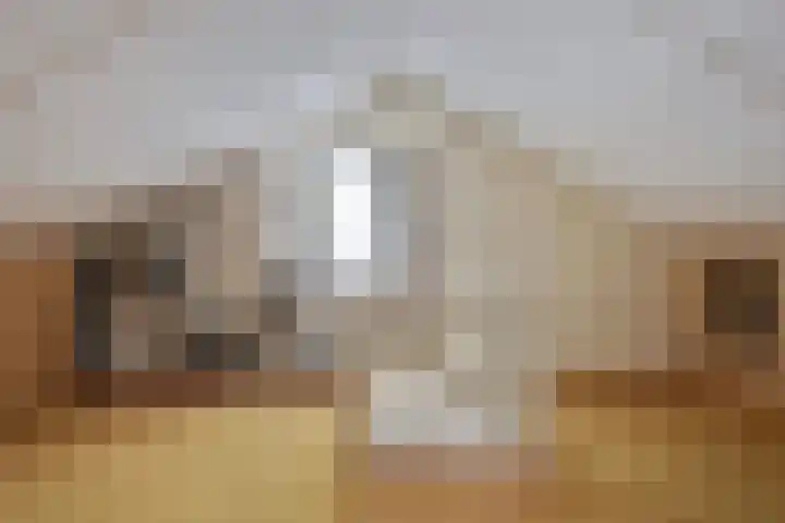 Lavendelstrook 9 Swifterbant thumbnail 29