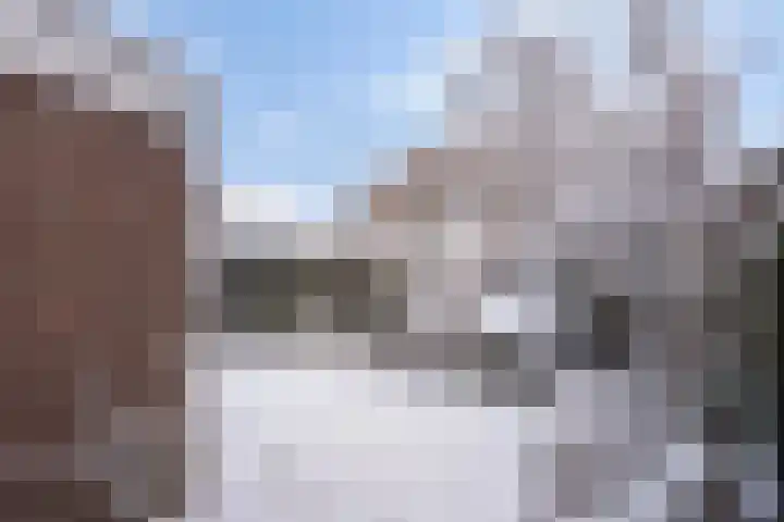 Lavendelstrook 9 Swifterbant thumbnail 32