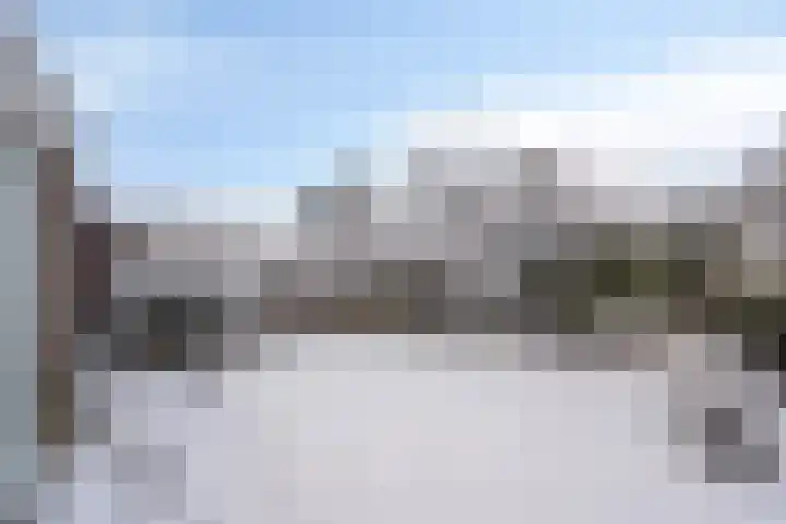 Lavendelstrook 9 Swifterbant thumbnail 33
