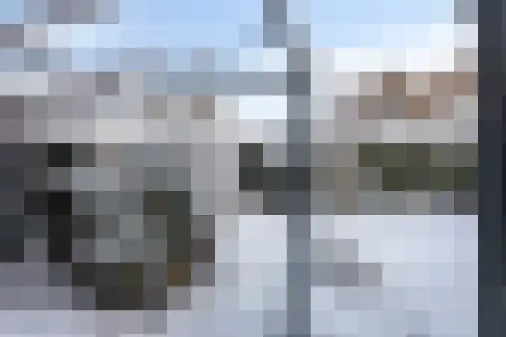 Lavendelstrook 9 Swifterbant thumbnail 34