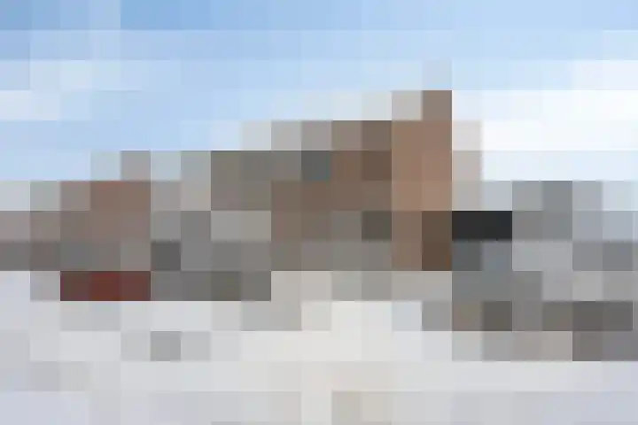 Lavendelstrook 9 Swifterbant thumbnail 35
