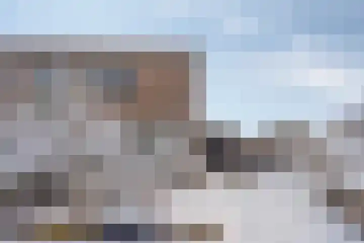Lavendelstrook 9 Swifterbant thumbnail 37