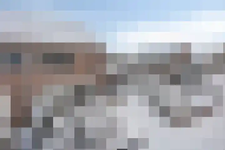Lavendelstrook 9 Swifterbant thumbnail 38