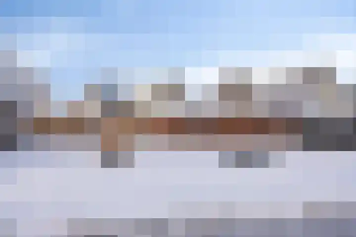 Lavendelstrook 9 Swifterbant thumbnail 39