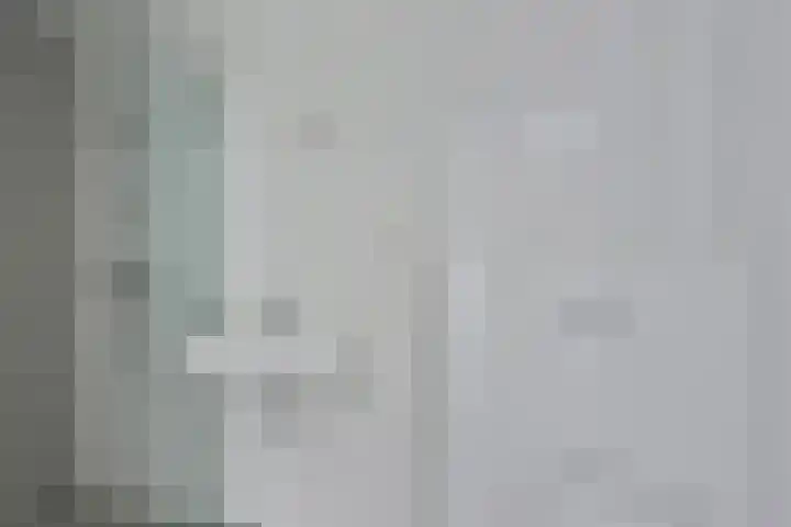 Lavendelstrook 9 Swifterbant thumbnail 4