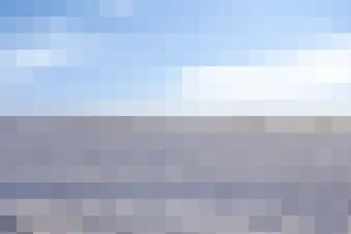 Lavendelstrook 9 Swifterbant thumbnail 40
