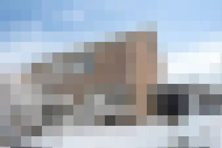 Lavendelstrook 9 Swifterbant thumbnail 5