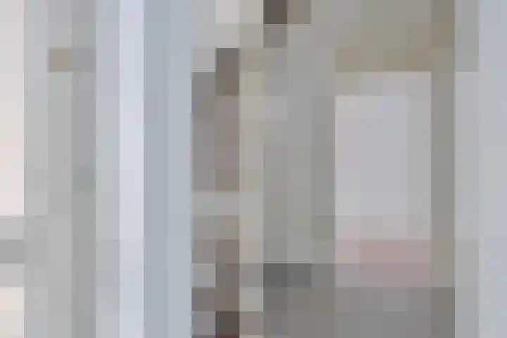 Lavendelstrook 9 Swifterbant thumbnail 6